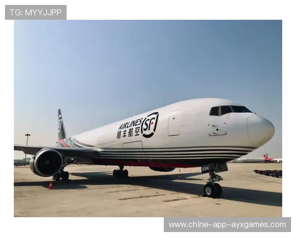 马术公开赛中兽医团队表现被广泛赞誉，动物保护获重视