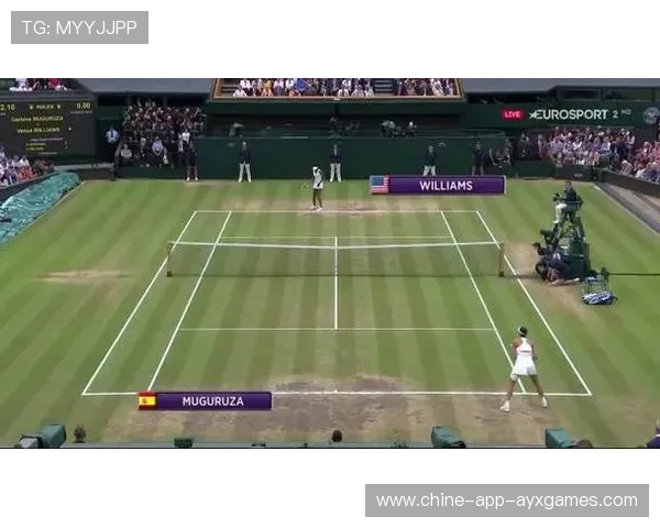 温网决赛成为年度经典，观众泪洒看台